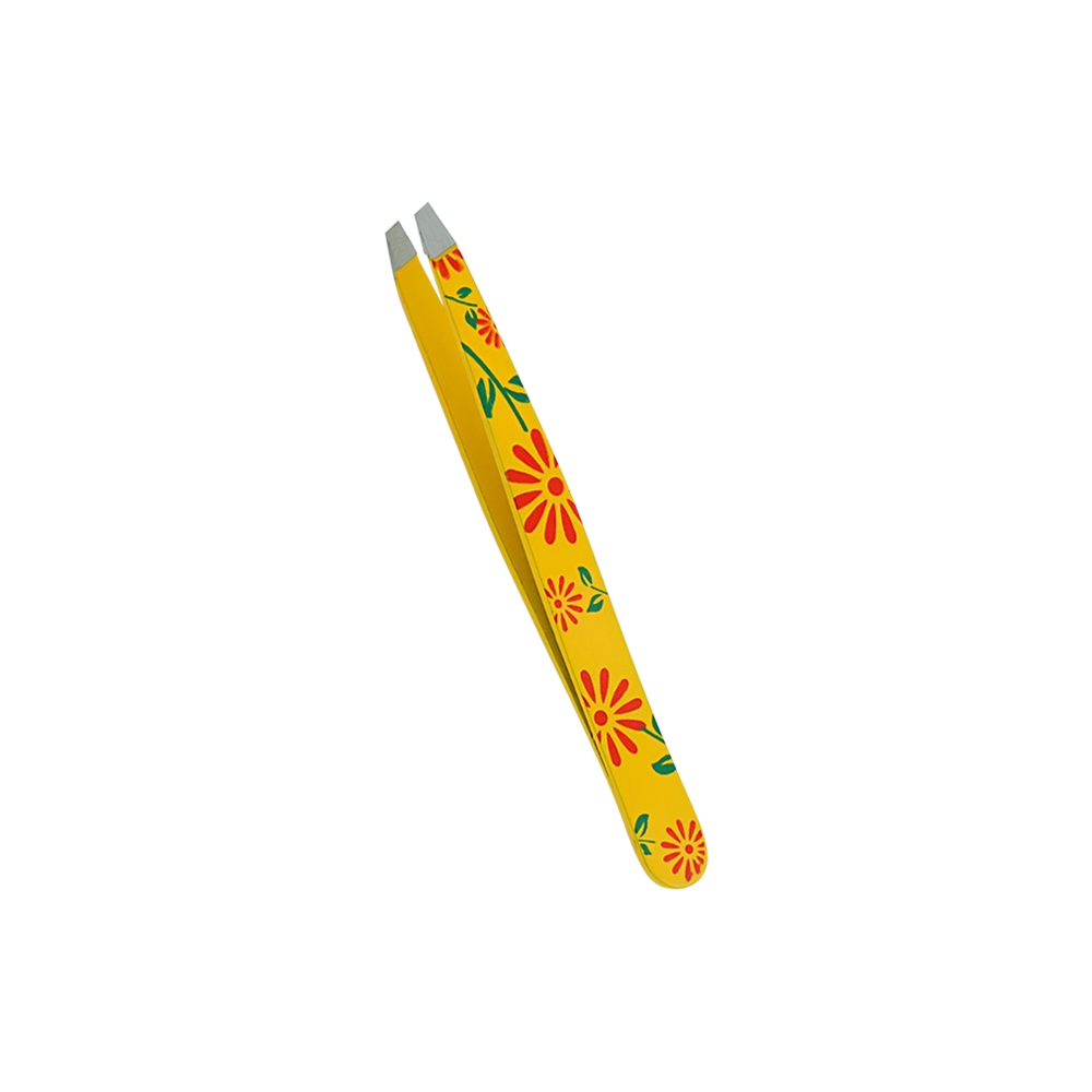 Text